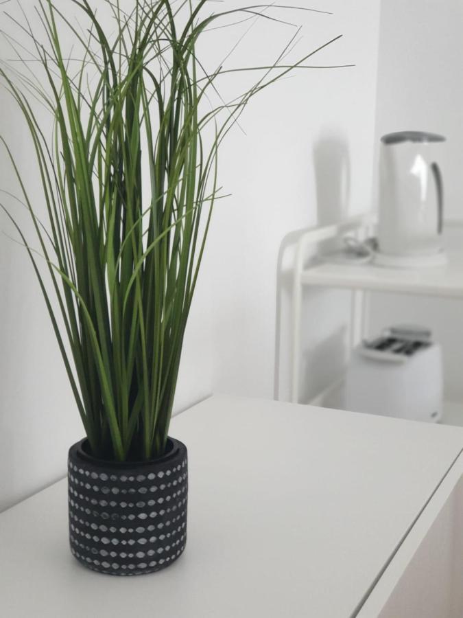 Palmeira Comfort Aveiro Exteriör bild